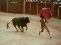 Corrida de touro no Perú: Tradição ou Barbárie?