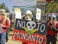 O mundo em p&eacute; de guerra contra a Monsanto. 19012.jpeg