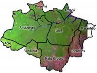 Desmatamento na Amaz&ocirc;nia cai 23% em um ano. 17027.jpeg
