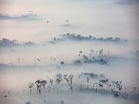Mudanças em comissões da Câmara ameaçam meio ambiente. 35067.jpeg Mudanças em comissões da Câmara ameaçam meio ambiente. 35067.jpeg