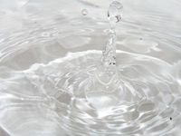 Água: Um bem imprescindível