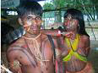 Solidariedade com povo indígeno no Brasil