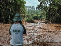 Cientistas que denunciam desmontes do Governo Federal sofrem censuras e ameaças. 35090.jpeg Cientistas que denunciam desmontes do Governo Federal sofrem censuras e ameaças. 35090.jpeg