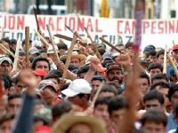 Camponeses paraguaios v&atilde;o novamente &agrave;s ruas da capital. 27105.jpeg