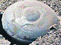 Será que o disco voador de pedra na China pertence á Dropa?