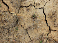 CPLP vai assinar acordo para combate à Desertificação
