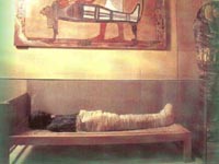 Egito descobre múmia de médico e templo com cerca de 4.000 anos
