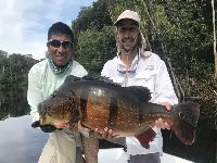 Pesca esportiva ind&iacute;gena apresenta recorde mundial de Tucunar&eacute; A&ccedil;u. 28173.jpeg