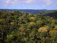Em meio a desmonte de proteção ambiental, Adote Um Parque tem cara de Em meio a desmonte de proteção ambiental, Adote Um Parque tem cara de