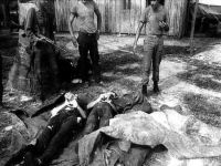 Araguaia: o massacre que as Forças Armadas querem apagar. 15201.jpeg