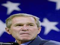 Bush: Por quê não te calas?