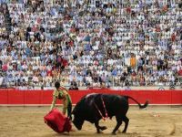 Espanha contra touradas. 15251.jpeg