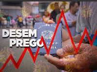 Governo Bolsonaro admite desastre: desemprego pode chegar a 18,5%. 34267.jpeg