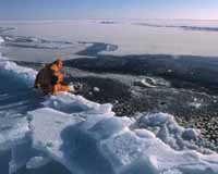 Canadá ironiza a expedição realizada pela Rússia ao Pólo Norte