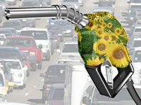 Produção de biodiesel já é a terceira maior do mundo
