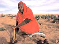 Tribunal da ONU acusou os dois primeiros suspeitos por crimes em Darfur