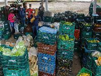 Quilombolas e cai&ccedil;aras distribuem 15 toneladas de alimentos para comunidades vulner&aacute;veis. 33297.jpeg