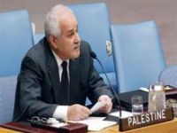 Embaixador palestino na ONU denuncia col&ocirc;nias israelenses ilegais. 18306.jpeg