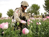 Afeganistãovale a pena?