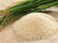 Produção brasileira de grãos garantirá abastecimento interno