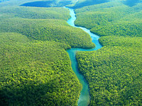 Macrozoneamento Econômico e Ecológico da Amazônia entra em consulta pública