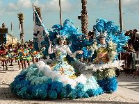 O PEV N&atilde;o Desiste de Ver na Lei a Ter&ccedil;a-feira de Carnaval Como Feriado Nacional Obrigat&oacute;rio. 30343.jpeg