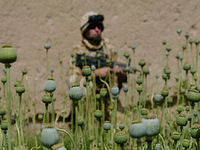 Afeganistão: Mãe de Todas as Batalhas vai iniciar