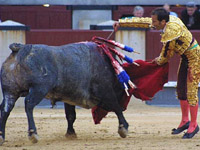 Ministra propôs a alteração da tradição de tauromaquia na Espanha