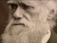 Obras completas do Darwin na internet