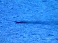 Monstro do  Lago  Loch Ness  filmado em vídeo (veja)