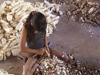 Escravatura atinge mais de 40 milhões de pessoas em todo o mundo. 34473.jpeg Escravatura atinge mais de 40 milhões de pessoas em todo o mundo. 34473.jpeg