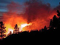 Quatro presos na Galiza suspeitos a atearem fogo na floresta