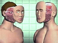 Cirurgiões britânicos já podem fazer transplante facial completo