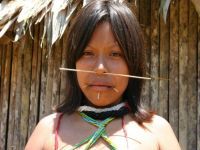 Expedi&ccedil;&atilde;o envia os primeiros relatos diretamente da TI Yanomami. 17545.jpeg