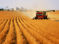 Brasil colhe a maior safra de grãos da história