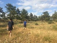 Estudo luso-espanhol ajuda a compreender e a prever os efeitos das alterações climáticas na biodiversidade do solo. 34584.jpeg Estudo luso-espanhol ajuda a compreender e a prever os efeitos das alterações climáticas na biodiversidade do solo. 34584.jpeg