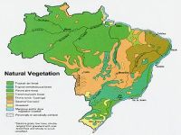 Os biomas brasileiros. 23594.jpeg