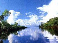 Amazônia: exploração colonial no séc. 21