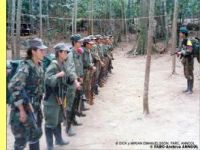 FARC-EP decidem cessa&ccedil;&atilde;o unilateral de opera&ccedil;&otilde;es ofensivas. 17598.jpeg