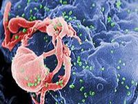 HIV: Infectos caem no mundo, crescem no Brasil. 20623.jpeg