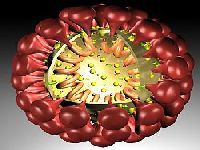 O coronavirus e a prov&aacute;vel m&atilde;o oculta dos Estados Unidos. 32634.jpeg