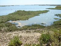 Santa Maria da Feira - Os Verdes Alertam para Reduzida Biodiversidade. 33668.jpeg Santa Maria da Feira - Os Verdes Alertam para Reduzida Biodiversidade. 33668.jpeg