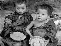Estudo: A fome na China em 1959. 34705.jpeg Estudo: A fome na China em 1959. 34705.jpeg