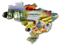 Ministério do Turismo promove maior evento do setor no Brasil