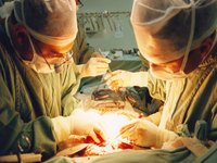 MS capacita profissionais em transplantes de órgãos