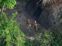 Bravos &Iacute;ndios Livres: sobre os povos isolados do Envira. 20772.jpeg