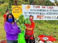 MST nasceu há 37 anos: a «terra para quem nela vive e trabalha». 34799.jpeg MST nasceu há 37 anos: a «terra para quem nela vive e trabalha». 34799.jpeg
