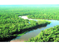 Brasil: Semin&aacute;rio discutir&aacute; empreendimentos para a Amaz&ocirc;nia em Rond&ocirc;nia