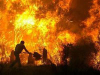 Portugal tenta resolver o seu maior problema: fogos florestais