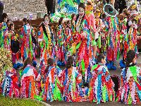 Os Verdes reapresentam o seu projeto que consagra a Ter&ccedil;a-feira de Carnaval feriado nacional obrigat&oacute;rio. 27903.jpeg